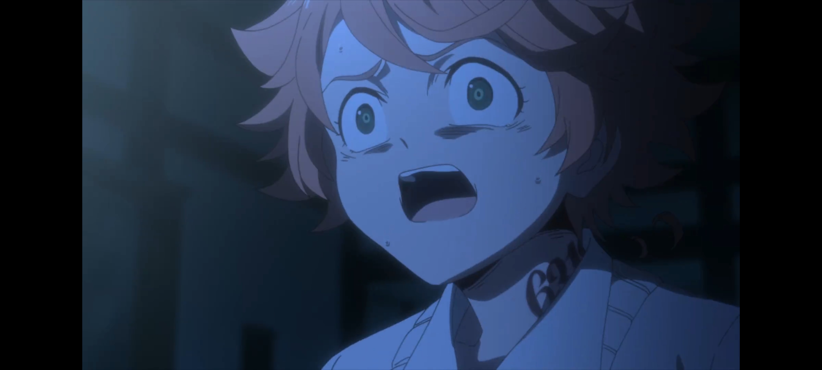 约定的梦幻岛,动画,动漫,番剧,二次元,ACG