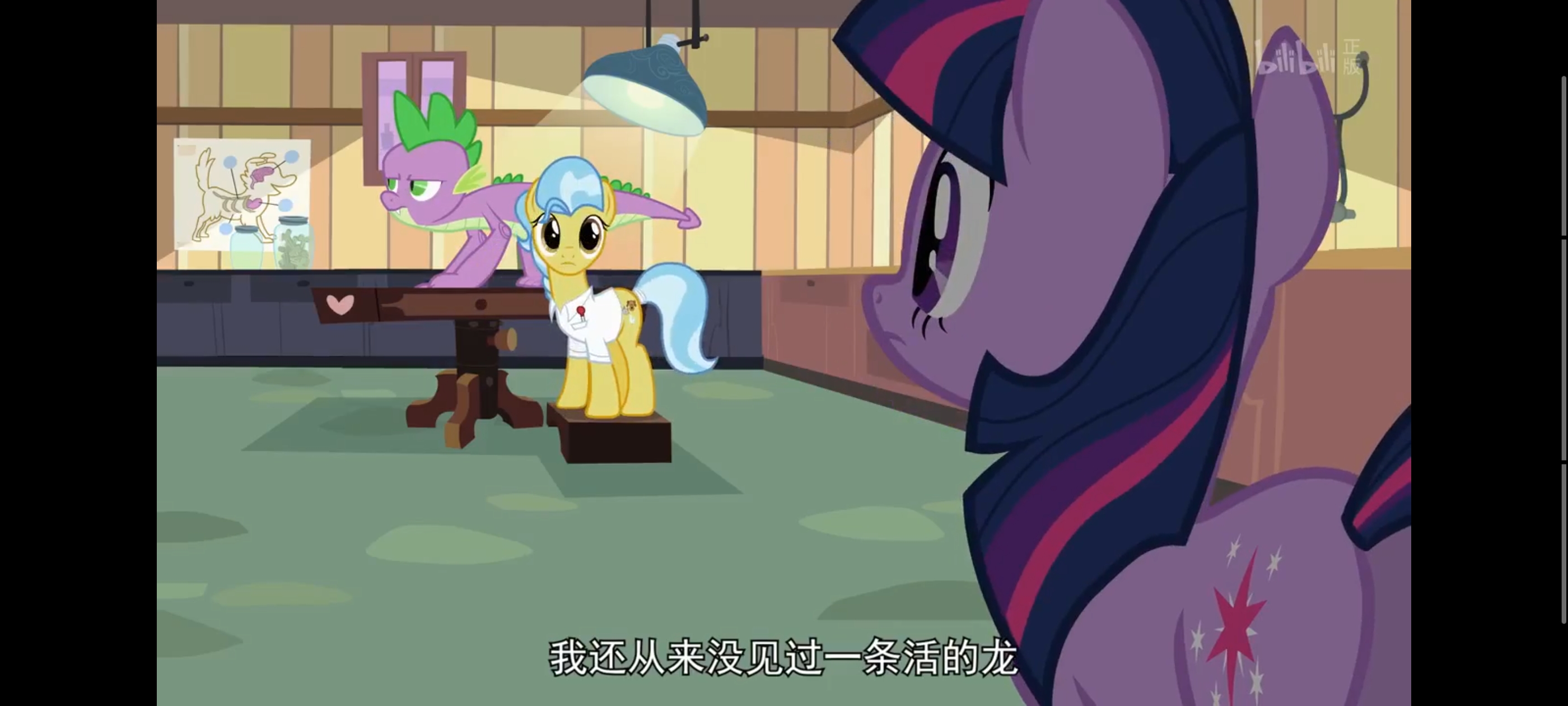 小马宝莉,彩虹小马,我的小马驹,动画,动漫,番剧,二次元,ACG