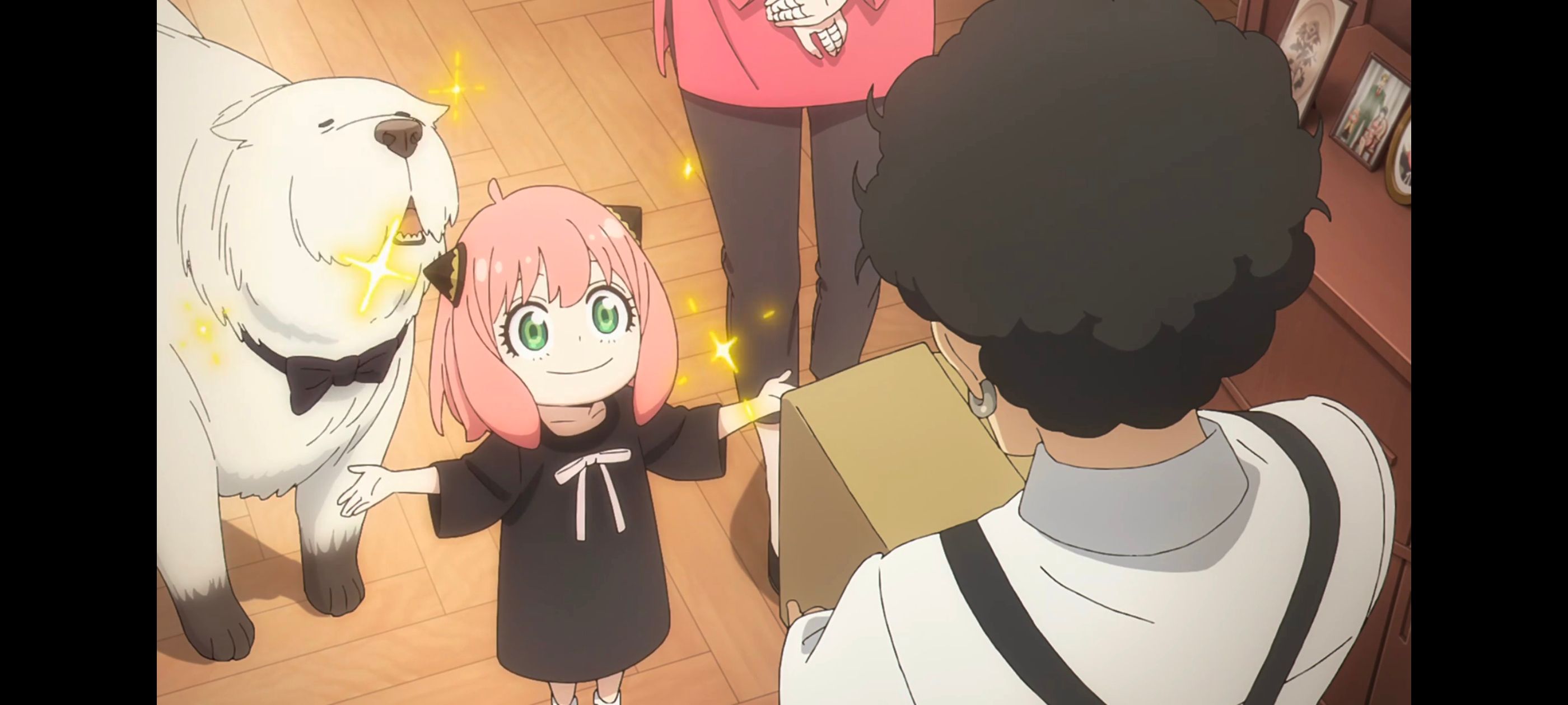 间谍过家家,SPYFAMILY,动画,动漫,番剧,ACG