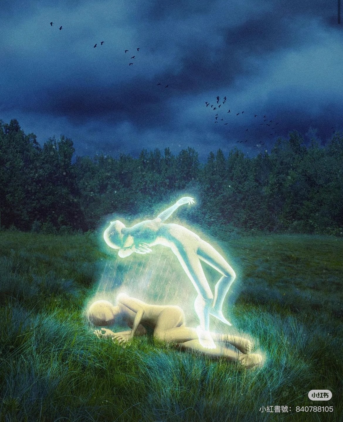 星空,蓝与白杂志,未来,预测