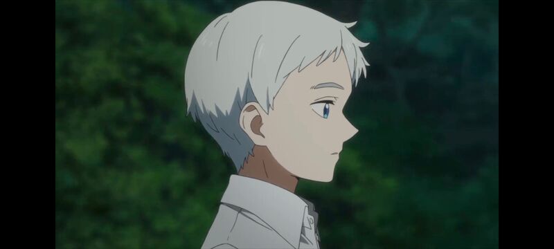 约定的梦幻岛,动画,动漫,番剧,ACG