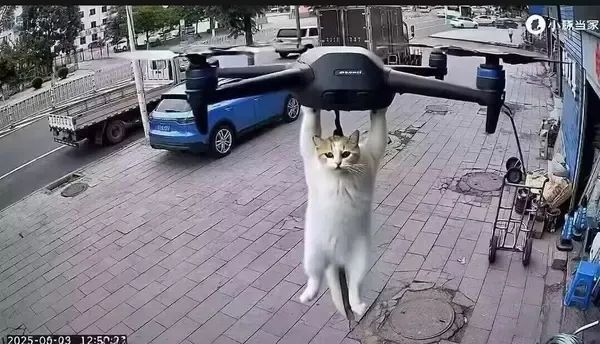 /static/47605be566d6b341f290b6caaaf0eafdb9bdb80e6bef17d1431d84957638a538.jpg