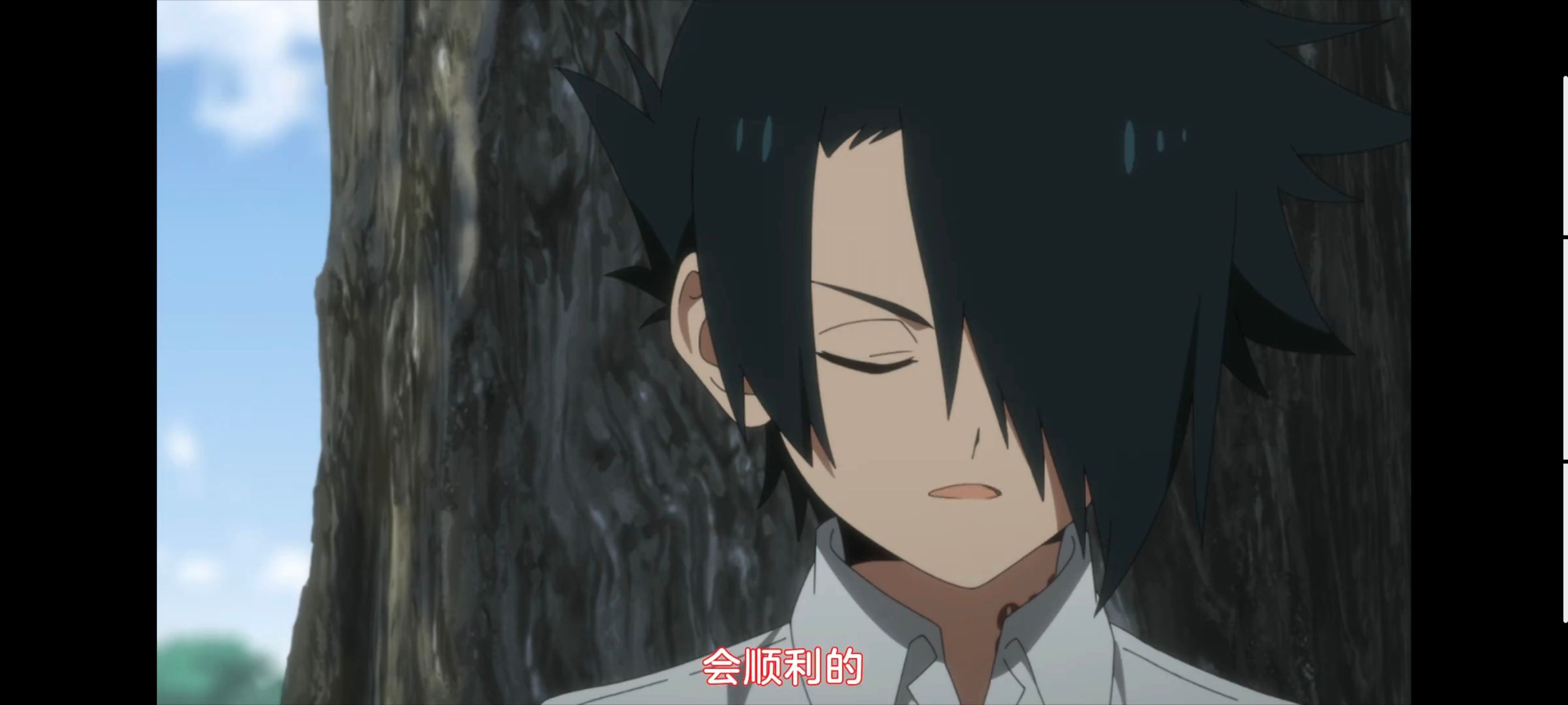 约定的梦幻岛,动画,动漫,番剧,二次元,ACG