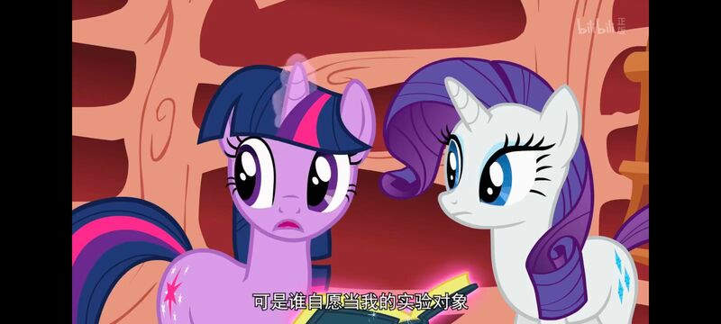 小马宝莉,小马宝莉友谊魔法,彩虹小马,我的小马驹,动画,动漫,番剧,ACG