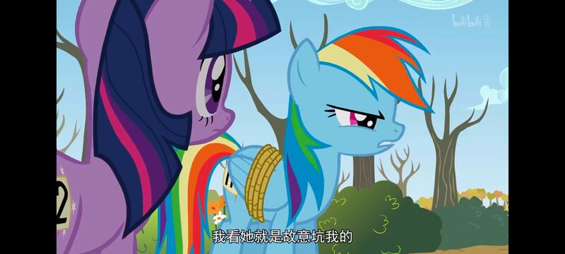 小马宝莉,小马宝莉友谊魔法,彩虹小马,我的小马驹,动画,动漫,番剧,ACG