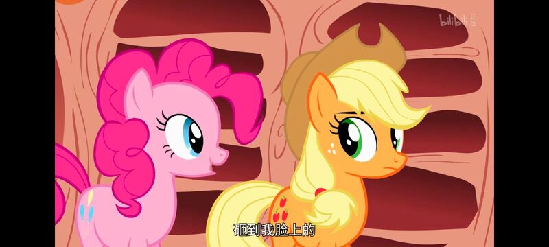 小马宝莉,小马宝莉友谊魔法,彩虹小马,我的小马驹,动画,动漫,番剧,ACG