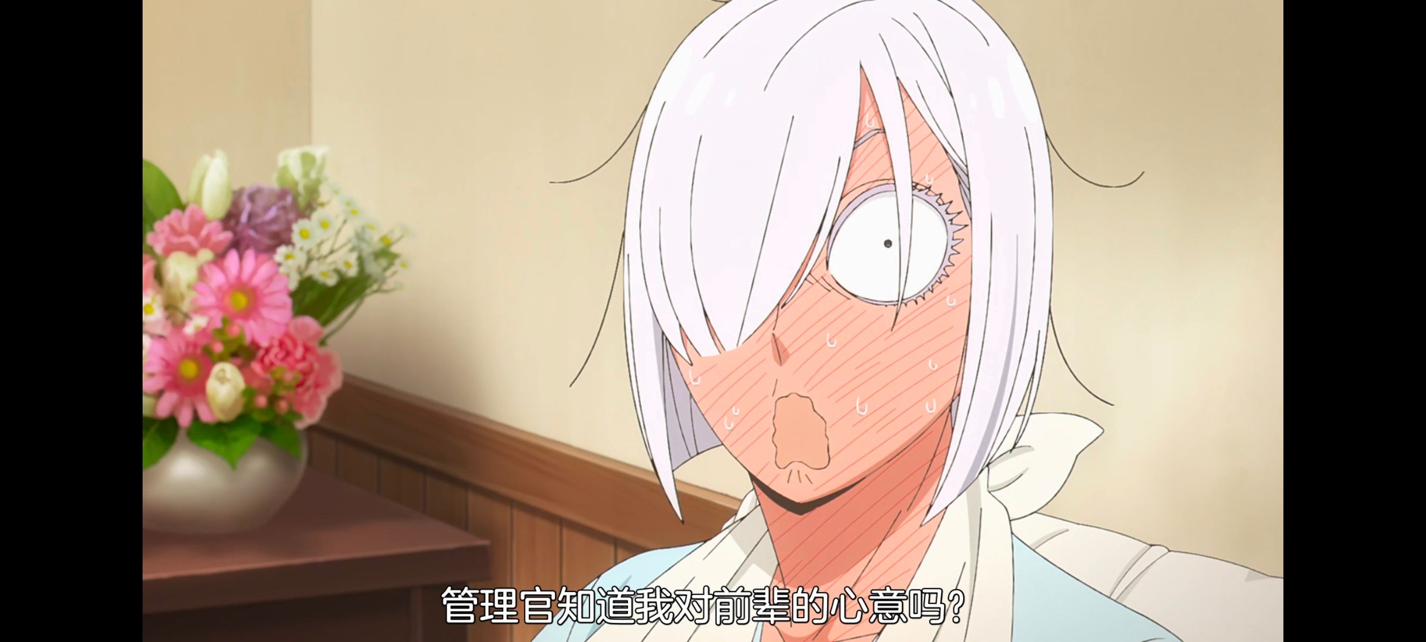 间谍过家家,SPYFAMILY,动画,动漫,番剧,ACG