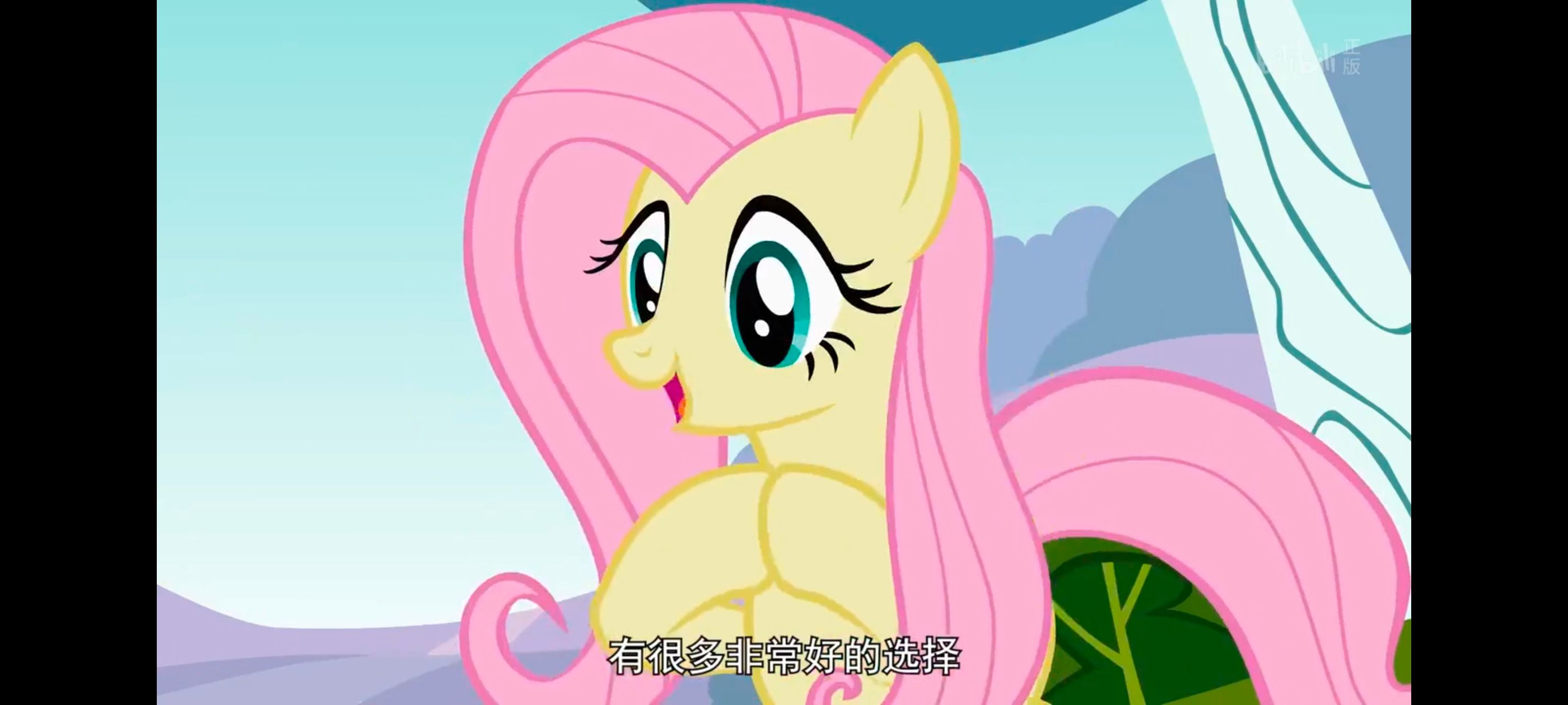 小马宝莉,彩虹小马,我的小马驹,动画,动漫,番剧,二次元,ACG