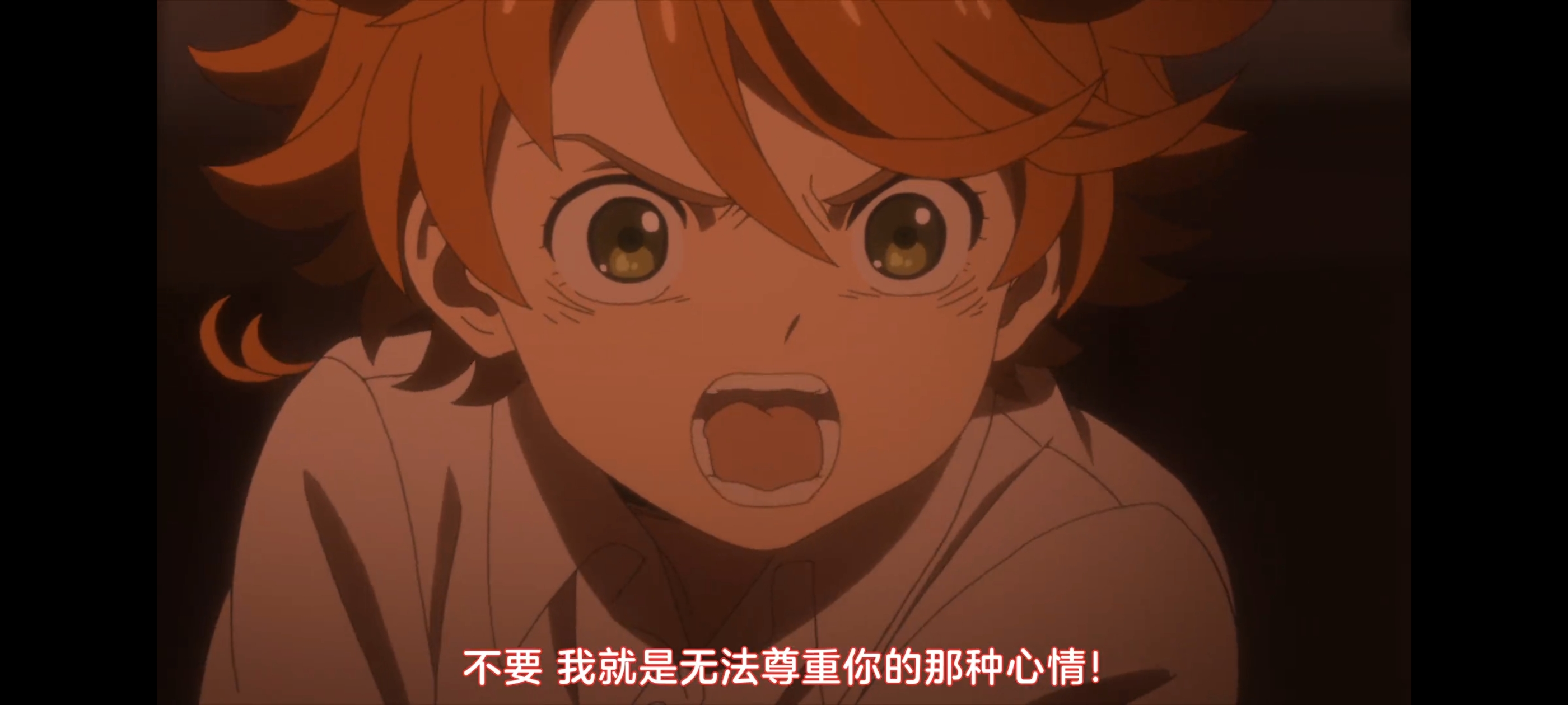 约定的梦幻岛,动画,动漫,番剧,二次元,ACG