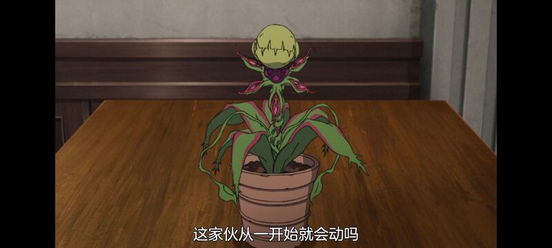 无职转生,无职转生到了异世界就拿出真本事,异世界,动画,动漫,二次元,日漫,番剧,ACG