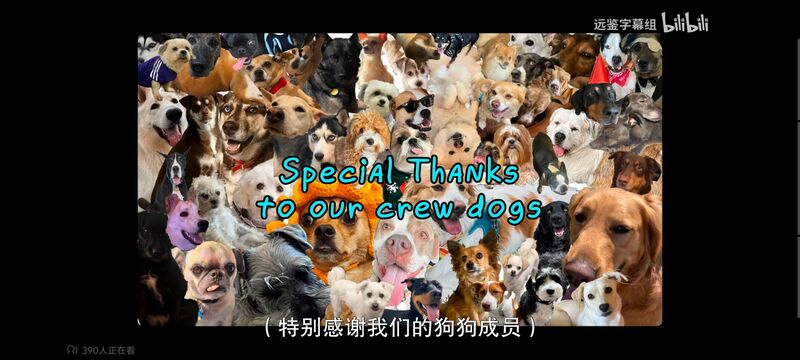 瑞克和莫蒂,瑞克与莫蒂,美漫,动画,动漫,番剧,ACG