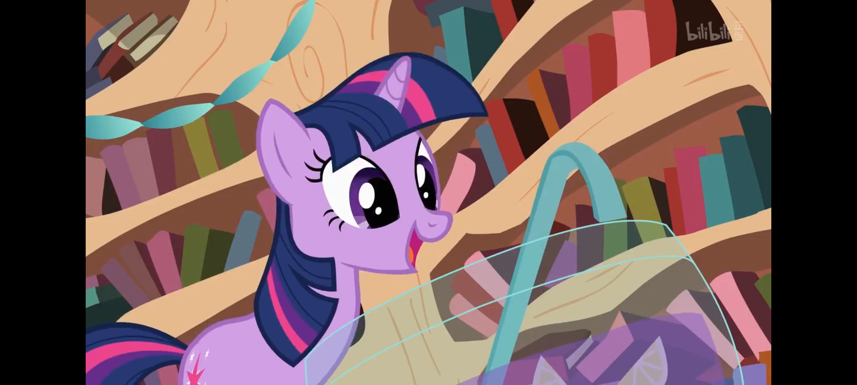 小马宝莉,彩虹小马,我的小马驹,动画,动漫,番剧,二次元,ACG