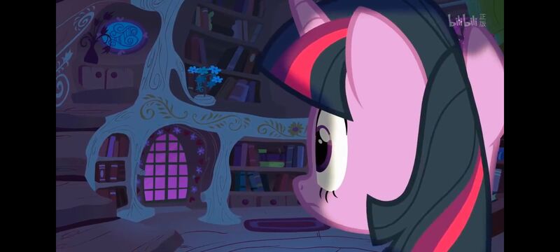 小马宝莉,彩虹小马,我的小马驹,动画,动漫,番剧,ACG,小马宝莉友谊魔法