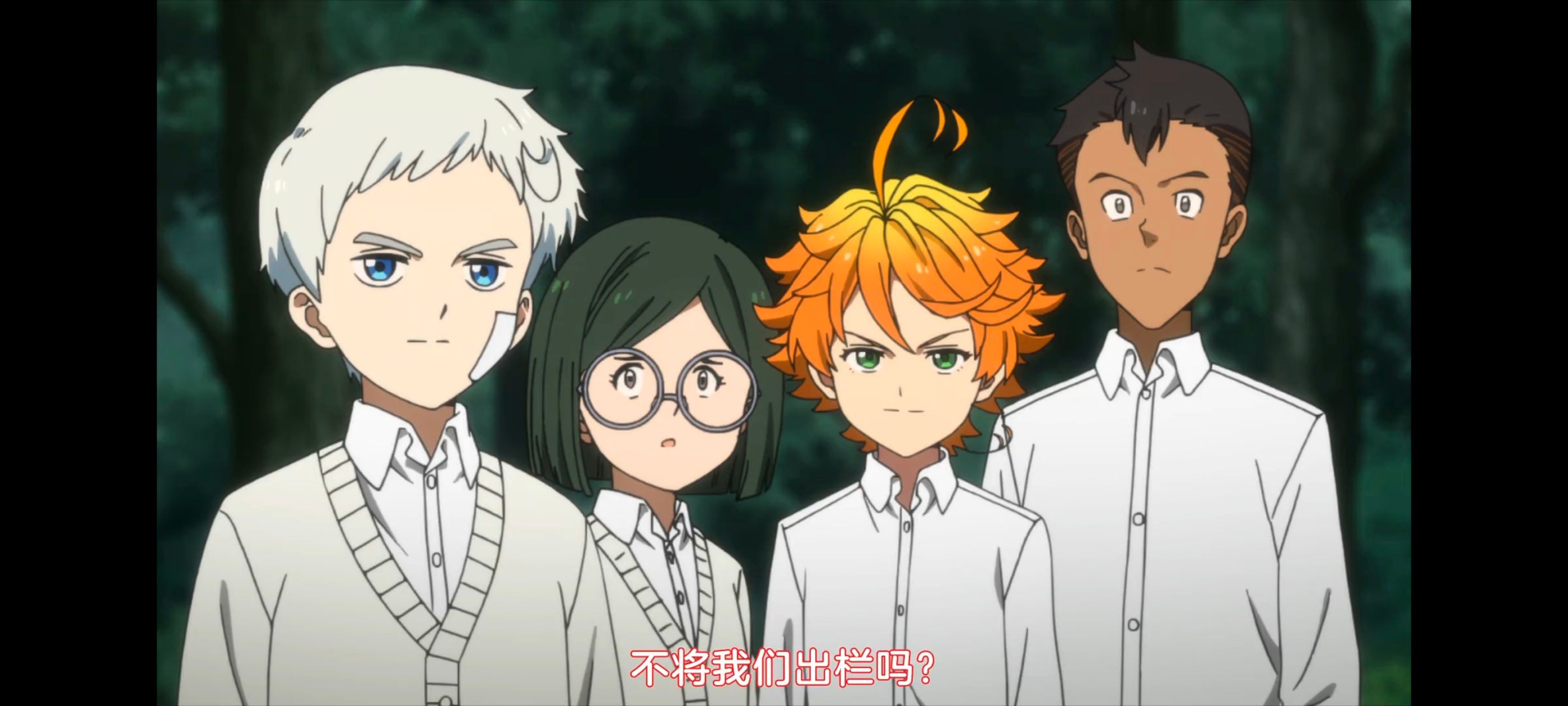 约定的梦幻岛,动画,动漫,番剧,二次元,ACG