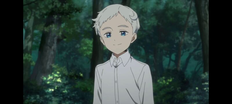 约定的梦幻岛,动画,动漫,番剧,ACG