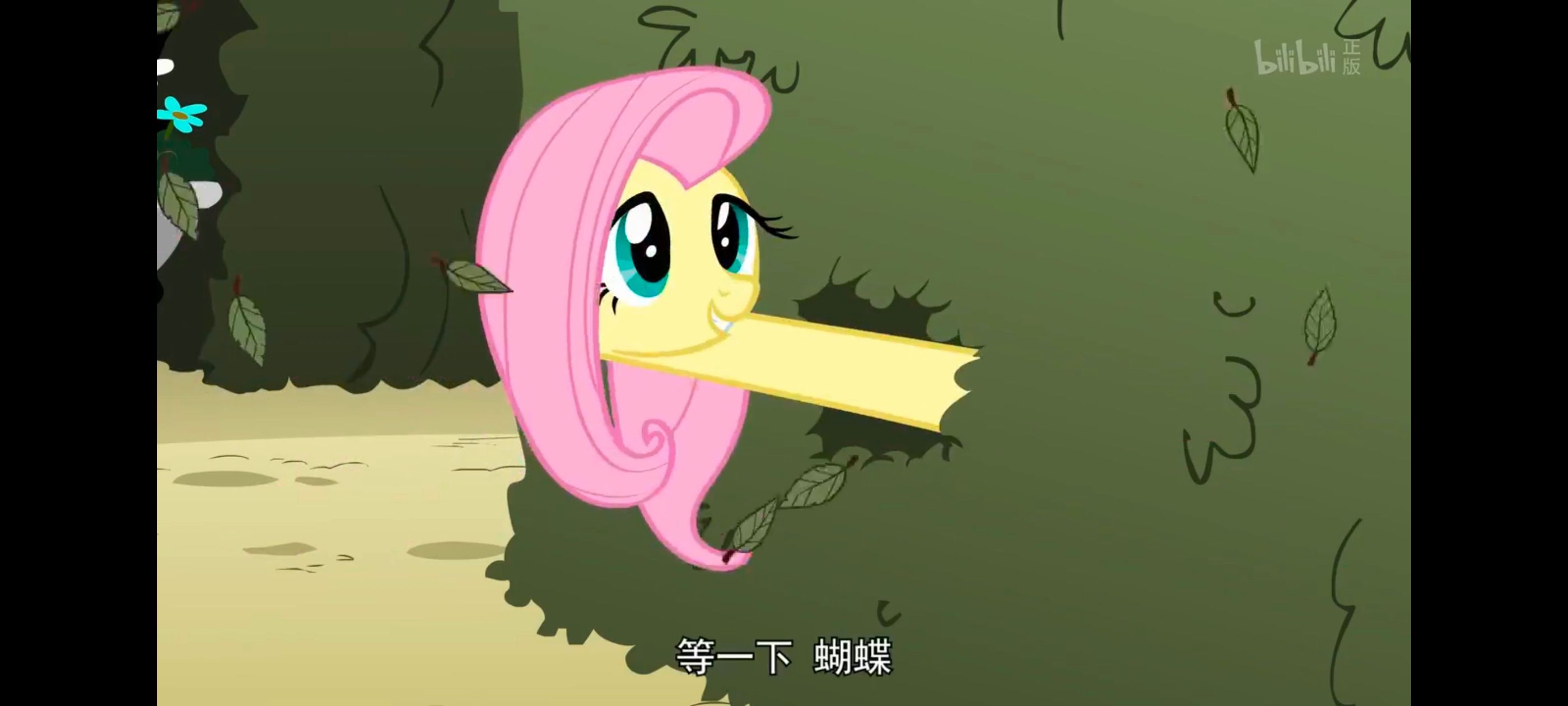 小马宝莉,小马宝莉友谊魔法,彩虹小马,我的小马驹,动画,动漫,番剧,ACG