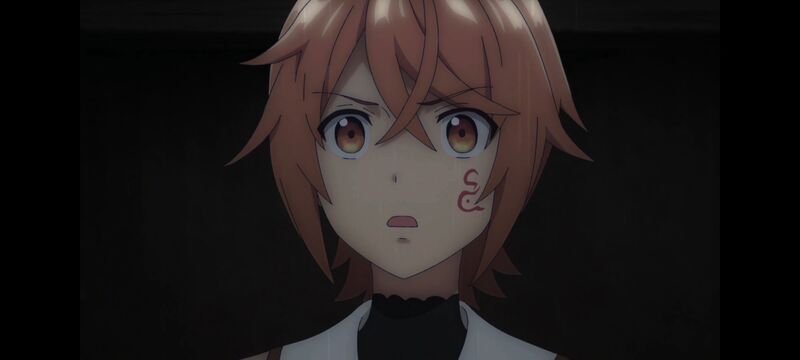 凭你也想讨伐魔王,动画,动漫,番剧,二次元,ACG