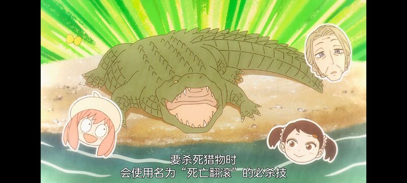 间谍过家家,SPYFAMILY,动画,动漫,番剧,ACG