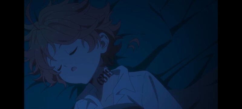 约定的梦幻岛,动画,动漫,番剧,ACG