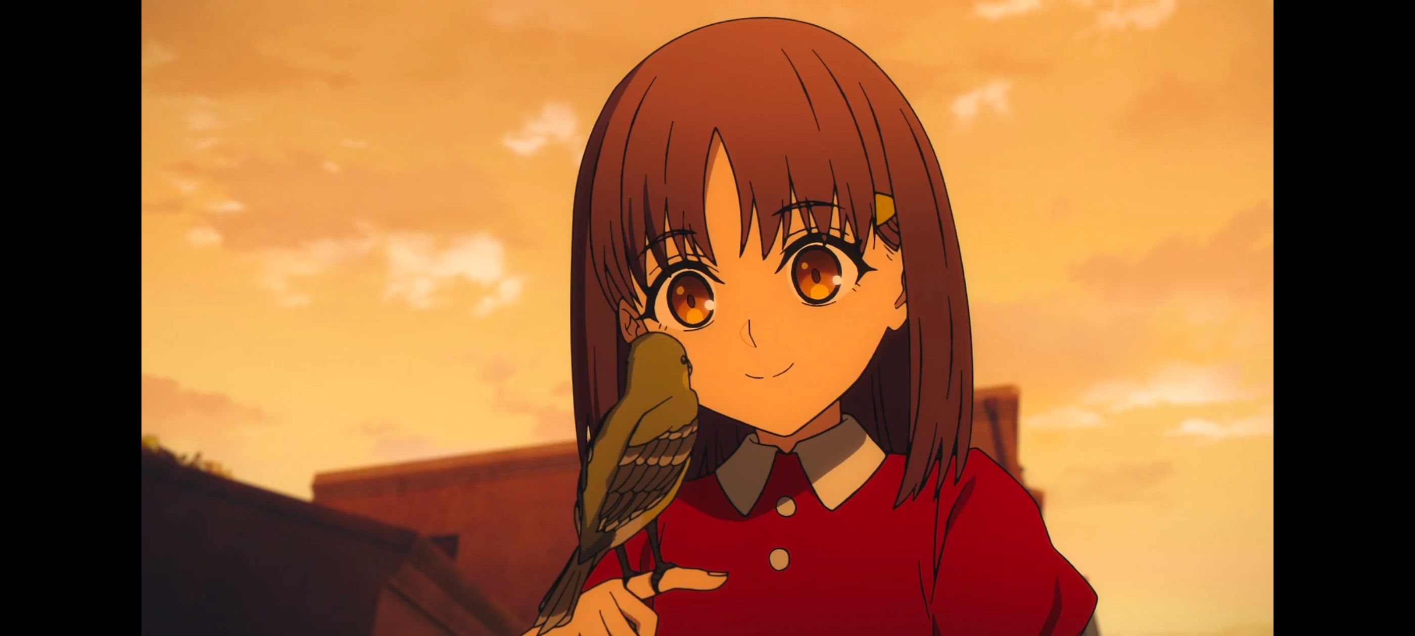 命运奇异赝品,FatestrangeFake,动画,动漫,番剧,ACG