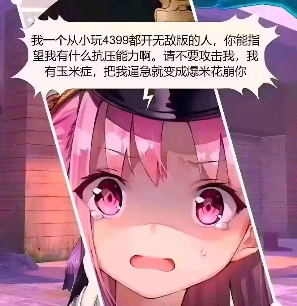 弔图,meme,迷因