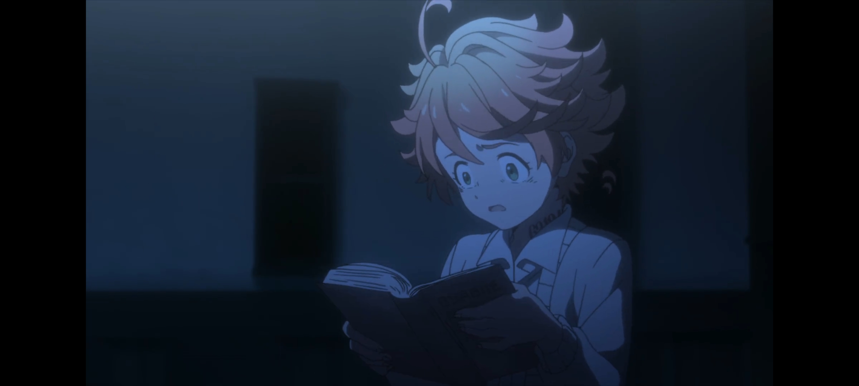 约定的梦幻岛,动画,动漫,番剧,二次元,ACG