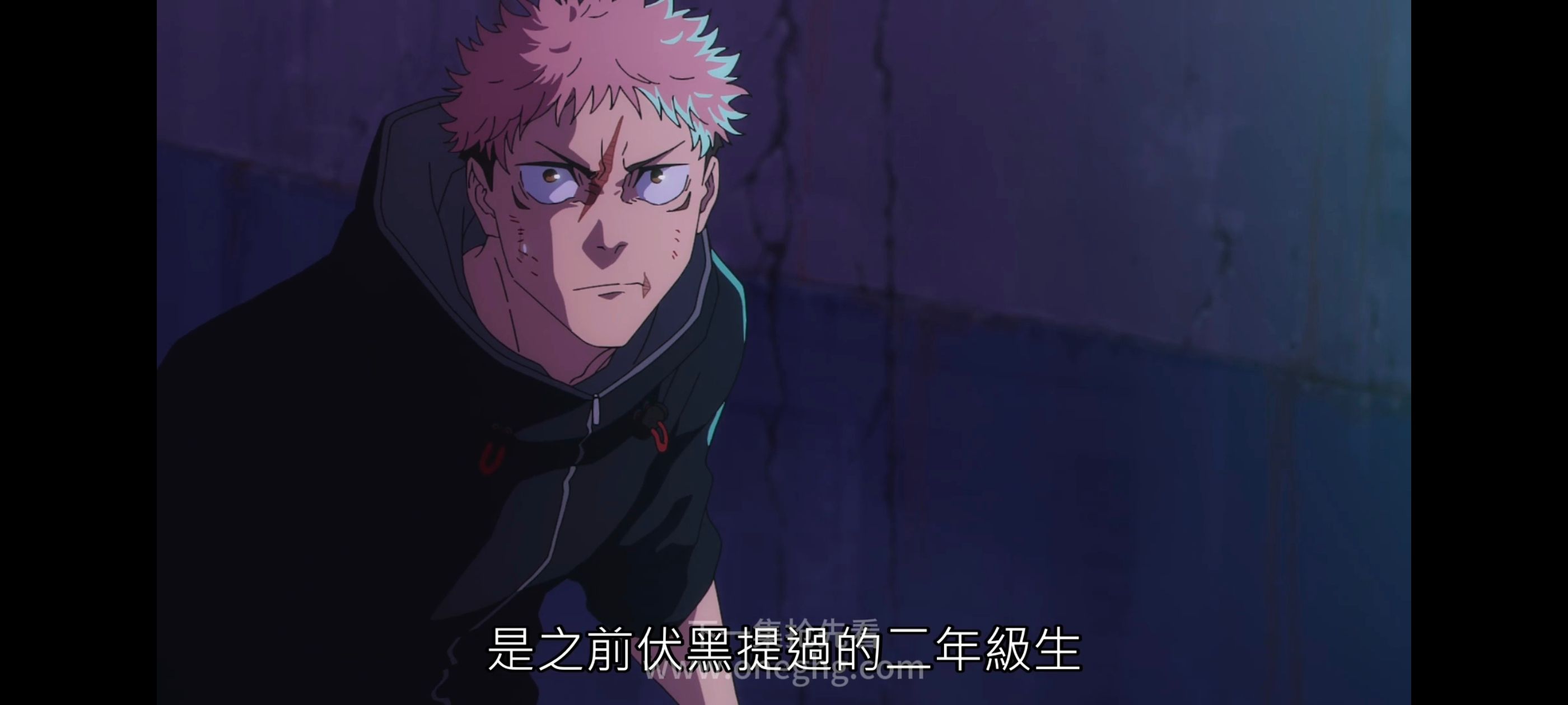 咒术回战,咒术回战死灭回游,动漫,动画,番剧,ACG