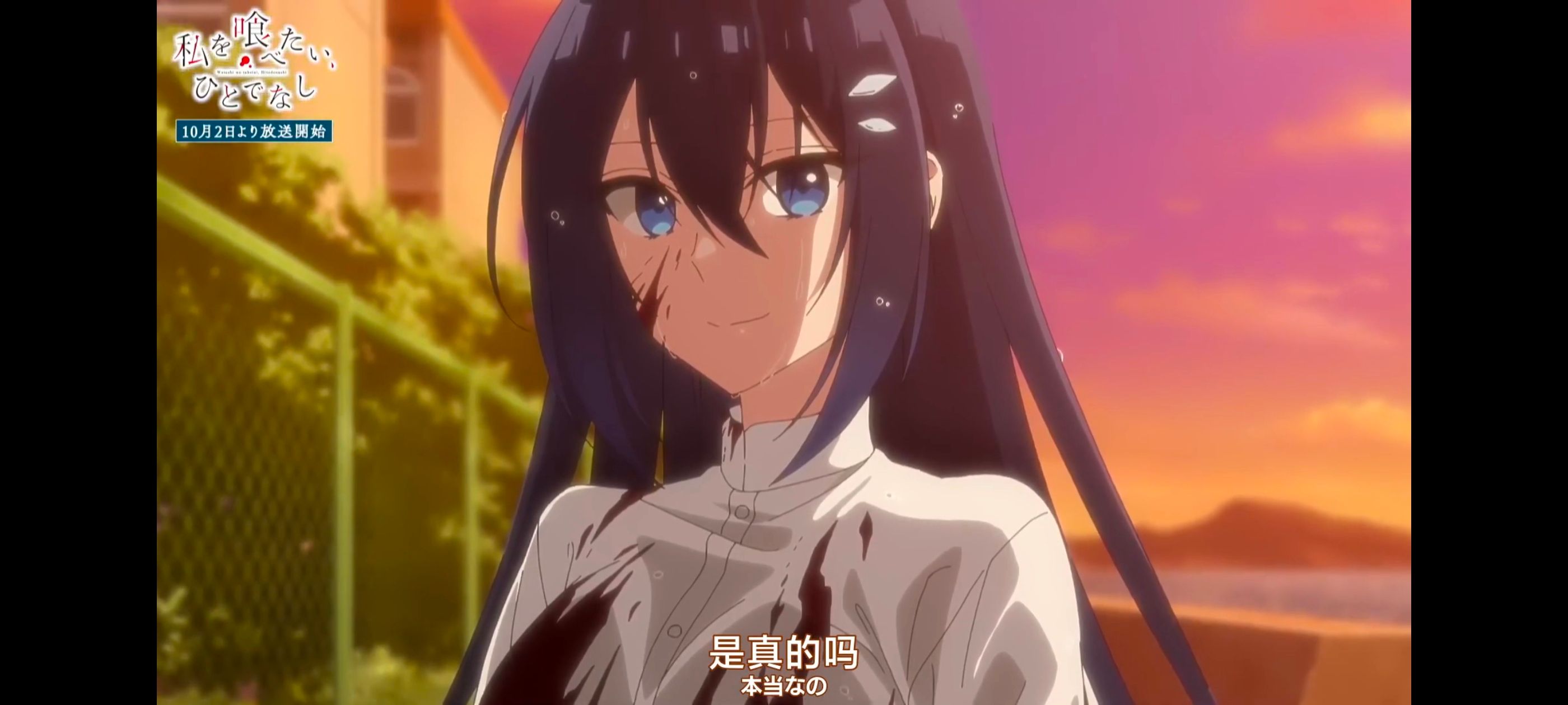 /static/497670567e83d5c0c236b5d0da73c401a9c28a3d5a0147d54afcb4eeda1ad9ce.jpg