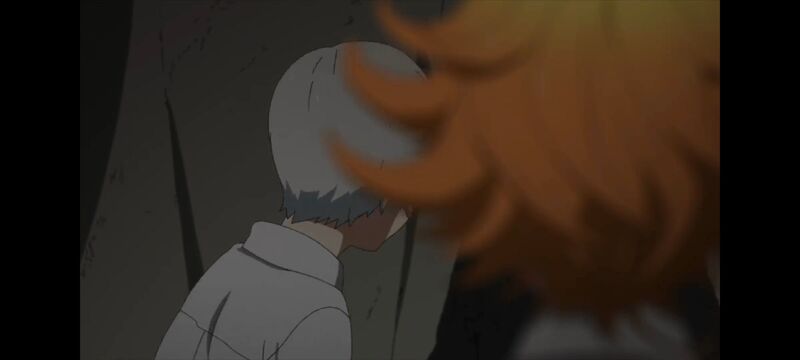 约定的梦幻岛,动画,动漫,番剧,ACG