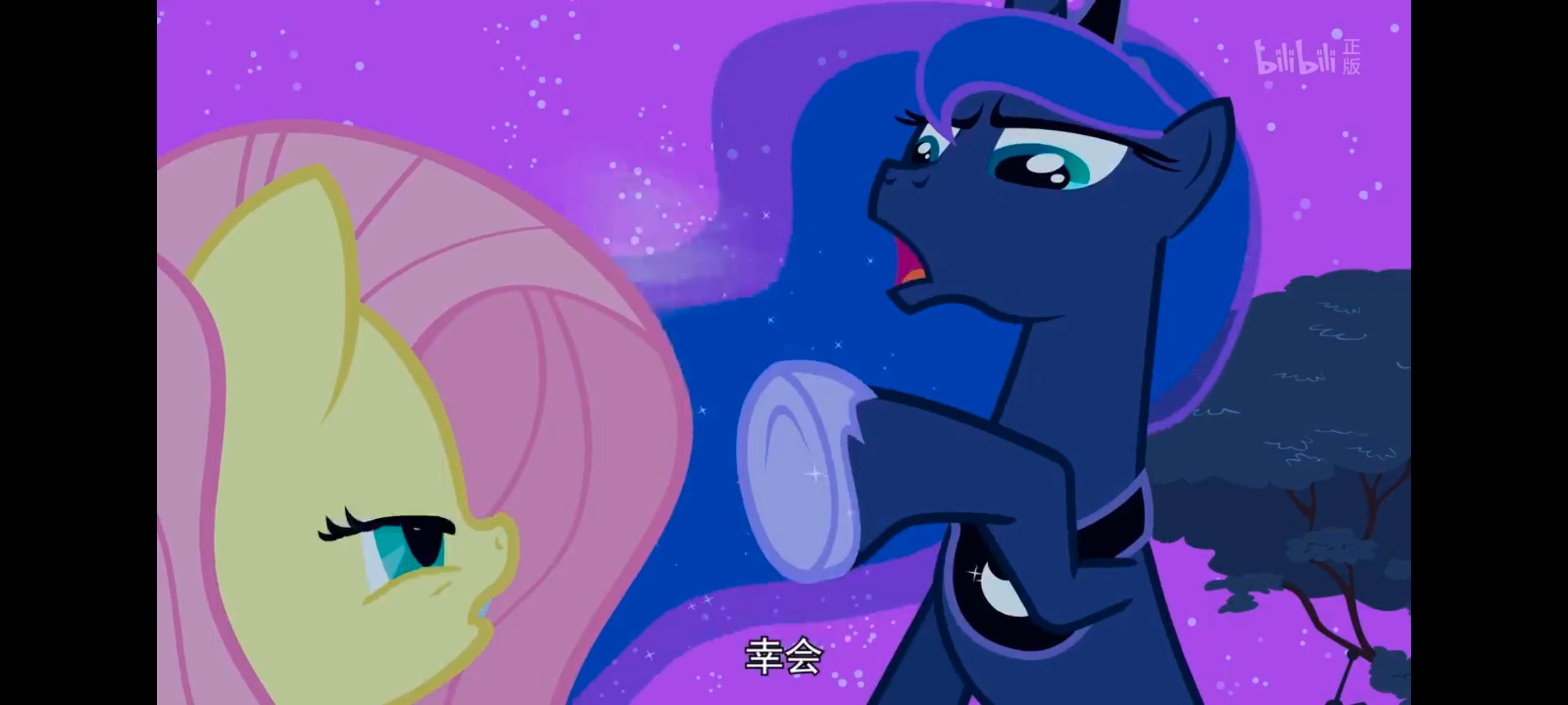 小马宝莉,小马宝莉友谊魔法,彩虹小马,我的小马驹,动漫,动画,番剧,ACG