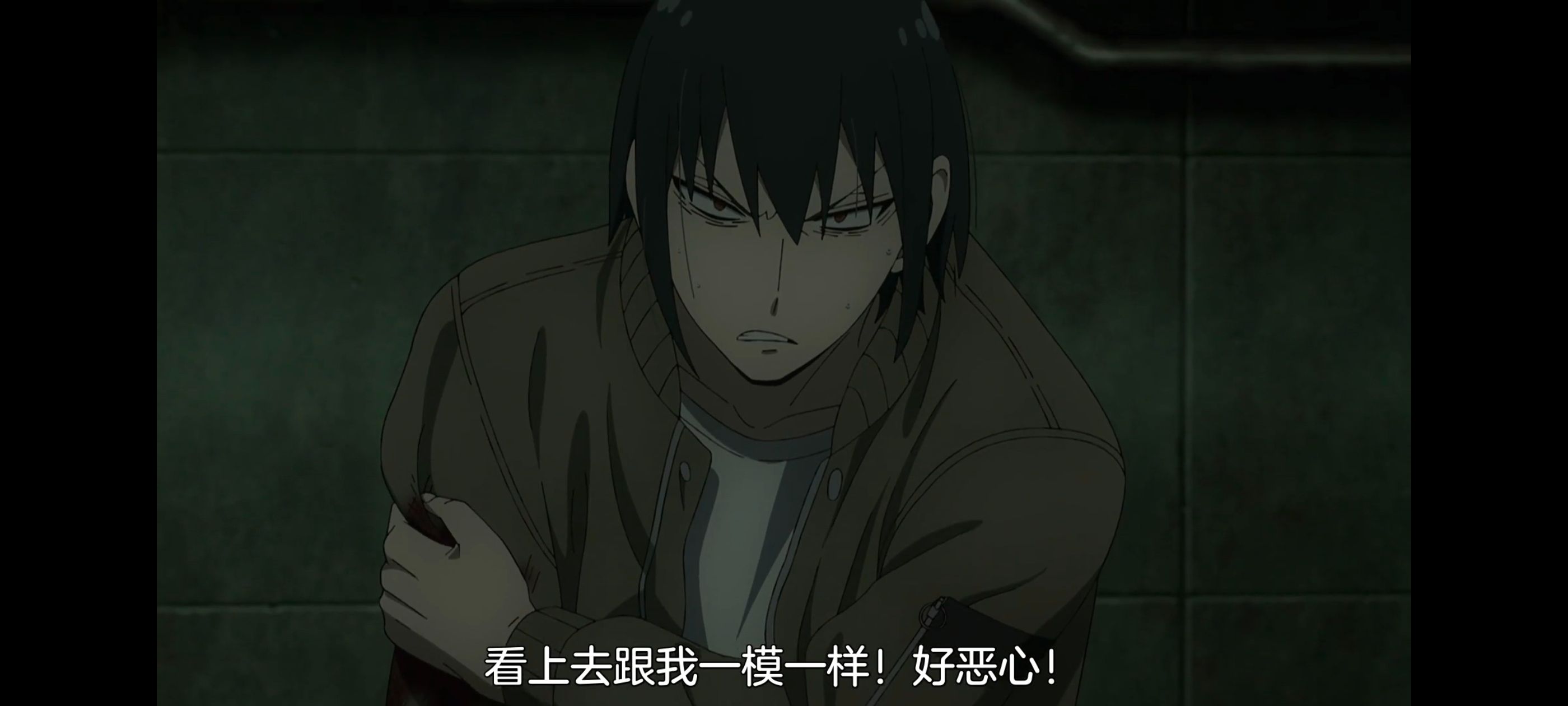 间谍过家家,SPYFAMILY,动画,动漫,番剧,ACG