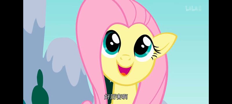 小马宝莉,小马宝莉友谊魔法,彩虹小马,我的小马驹,动画,动漫,番剧,ACG