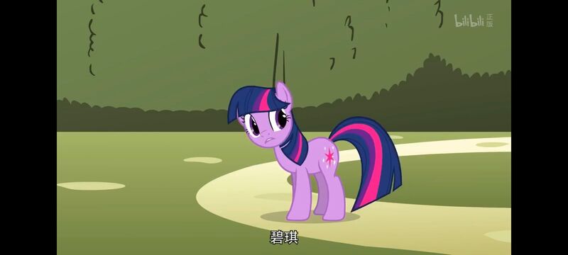 小马宝莉,小马宝莉友谊魔法,彩虹小马,我的小马驹,动画,动漫,番剧,ACG