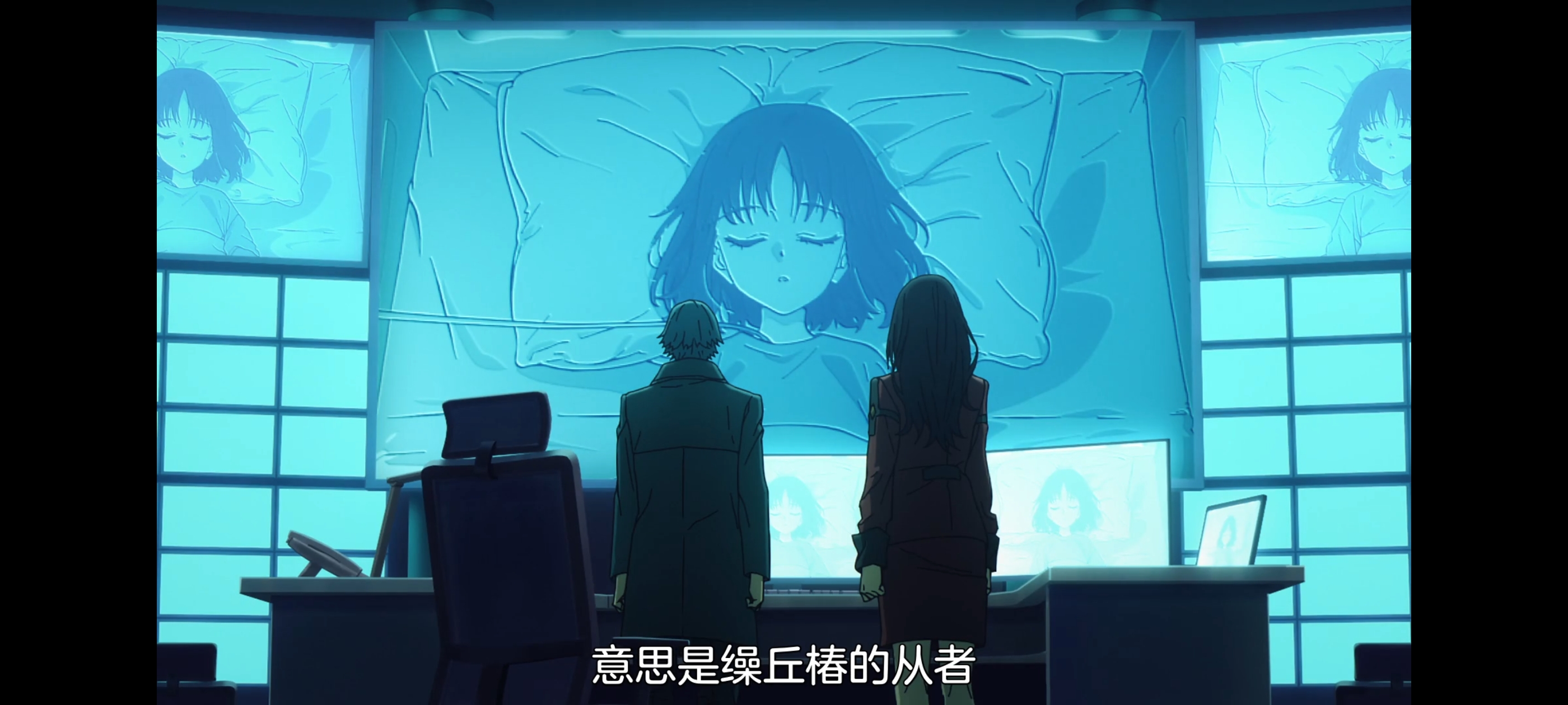 命运奇异赝品,FATE,FatestrangeFake,动画,动漫,番剧,二次元,ACG