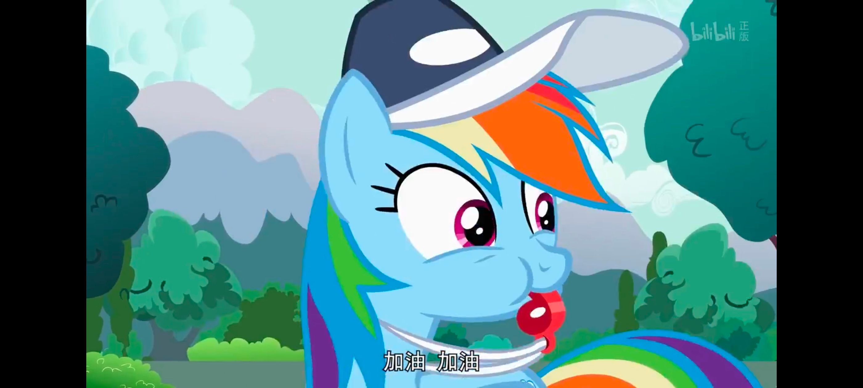 小马宝莉,彩虹小马,我的小马驹,动画,动漫,番剧,二次元,ACG