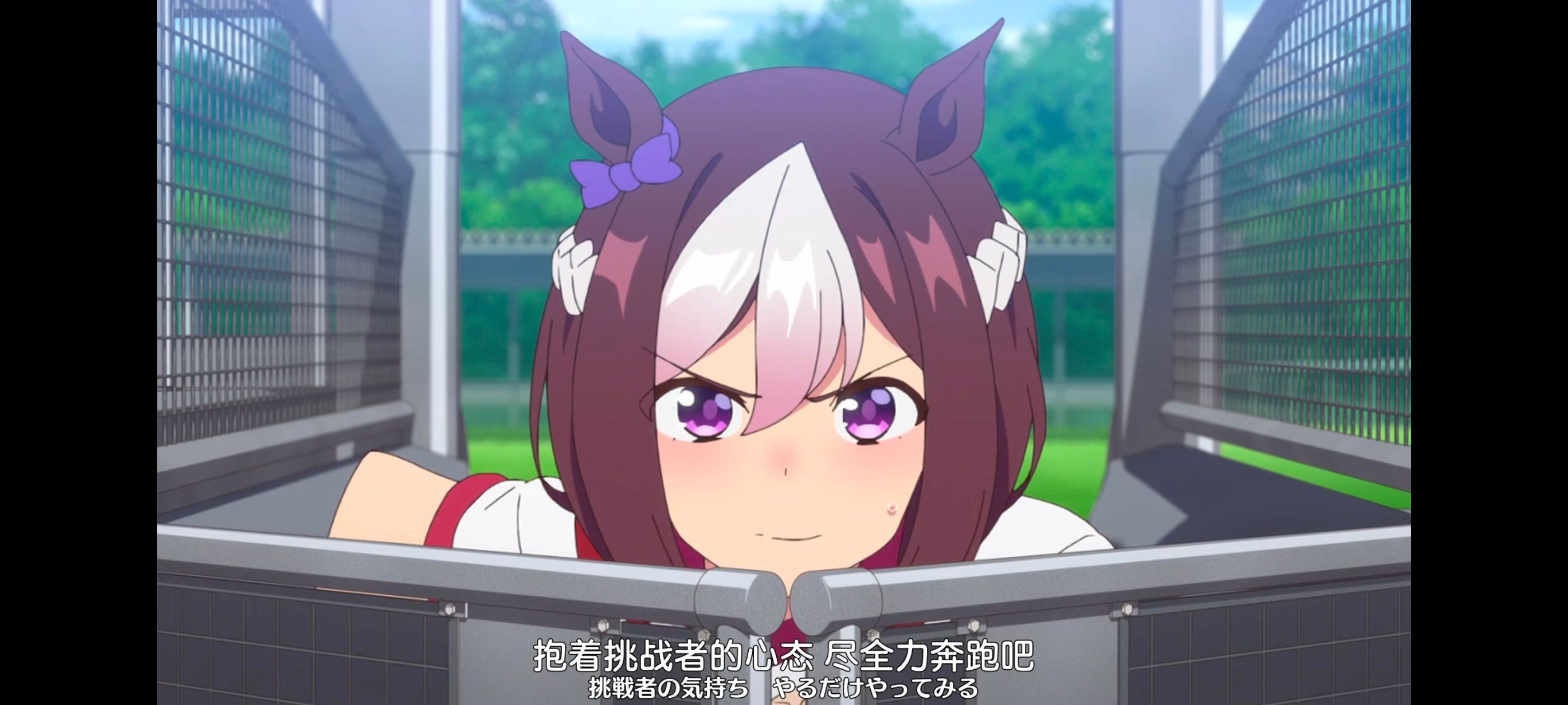 /static/49eb45c78f31168dacb9facb4fa08b060a321d6dfa5c875c6f44c016d1caec57.jpg