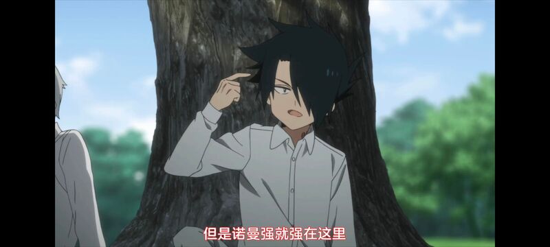 约定的梦幻岛,动画,动漫,番剧,ACG