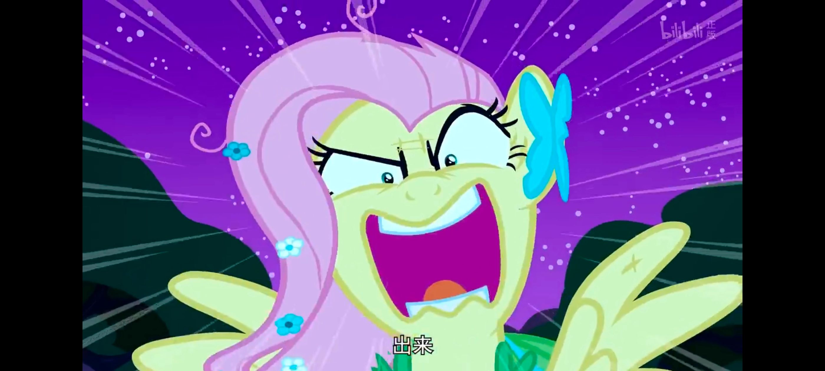 小马宝莉,小马宝莉友谊魔法,彩虹小马,我的小马驹,动画,动漫,番剧,ACG