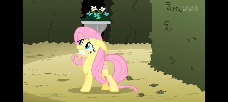 小马宝莉,小马宝莉友谊魔法,彩虹小马,我的小马驹,动画,动漫,番剧,ACG