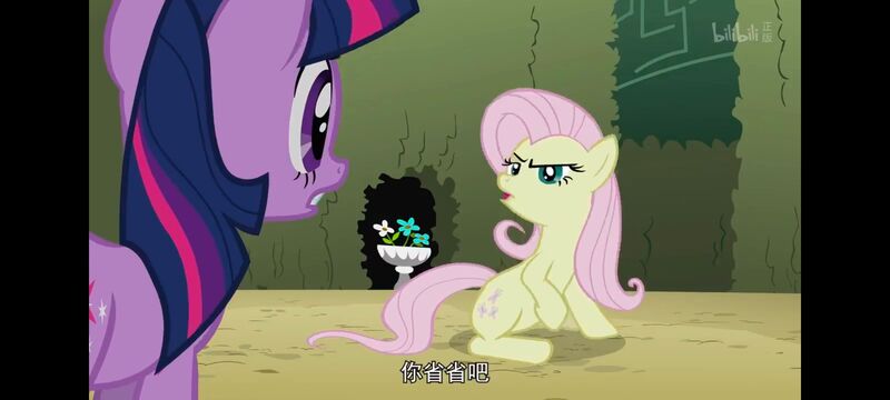 小马宝莉,小马宝莉友谊魔法,彩虹小马,我的小马驹,动画,动漫,番剧,ACG