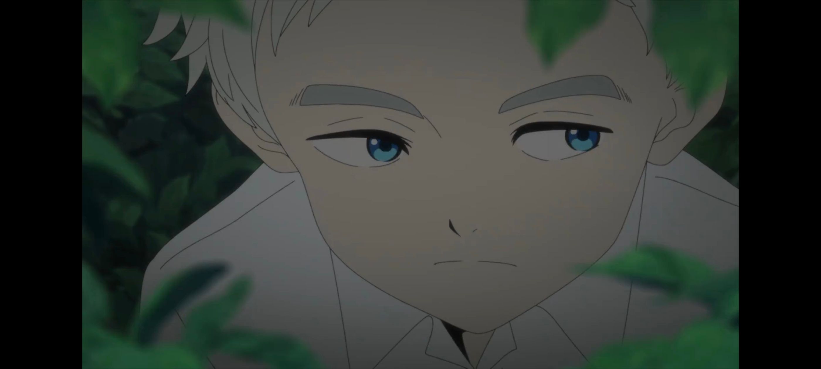 约定的梦幻岛,动画,动漫,番剧,ACG