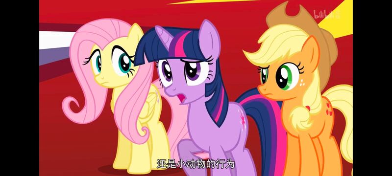 小马宝莉,小马宝莉友谊魔法,彩虹小马,我的小马驹,动画,动漫,番剧,ACG