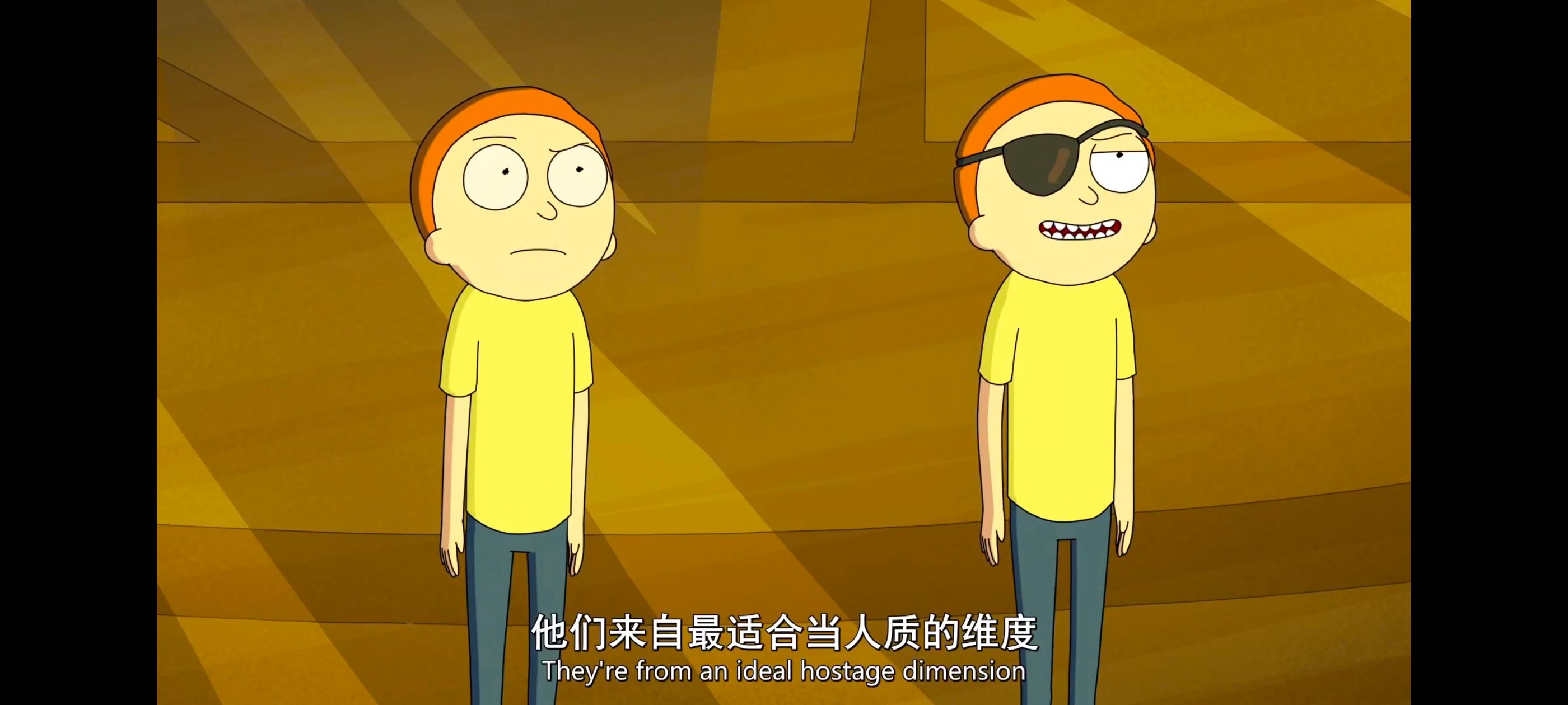 瑞克和莫蒂,瑞克与莫蒂,美漫,动漫,动画,番剧,二次元,ACG
