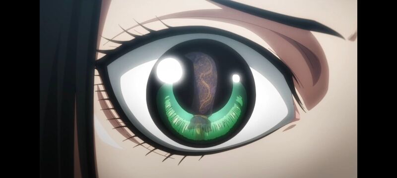 王者天下,动画,动漫,番剧,ACG