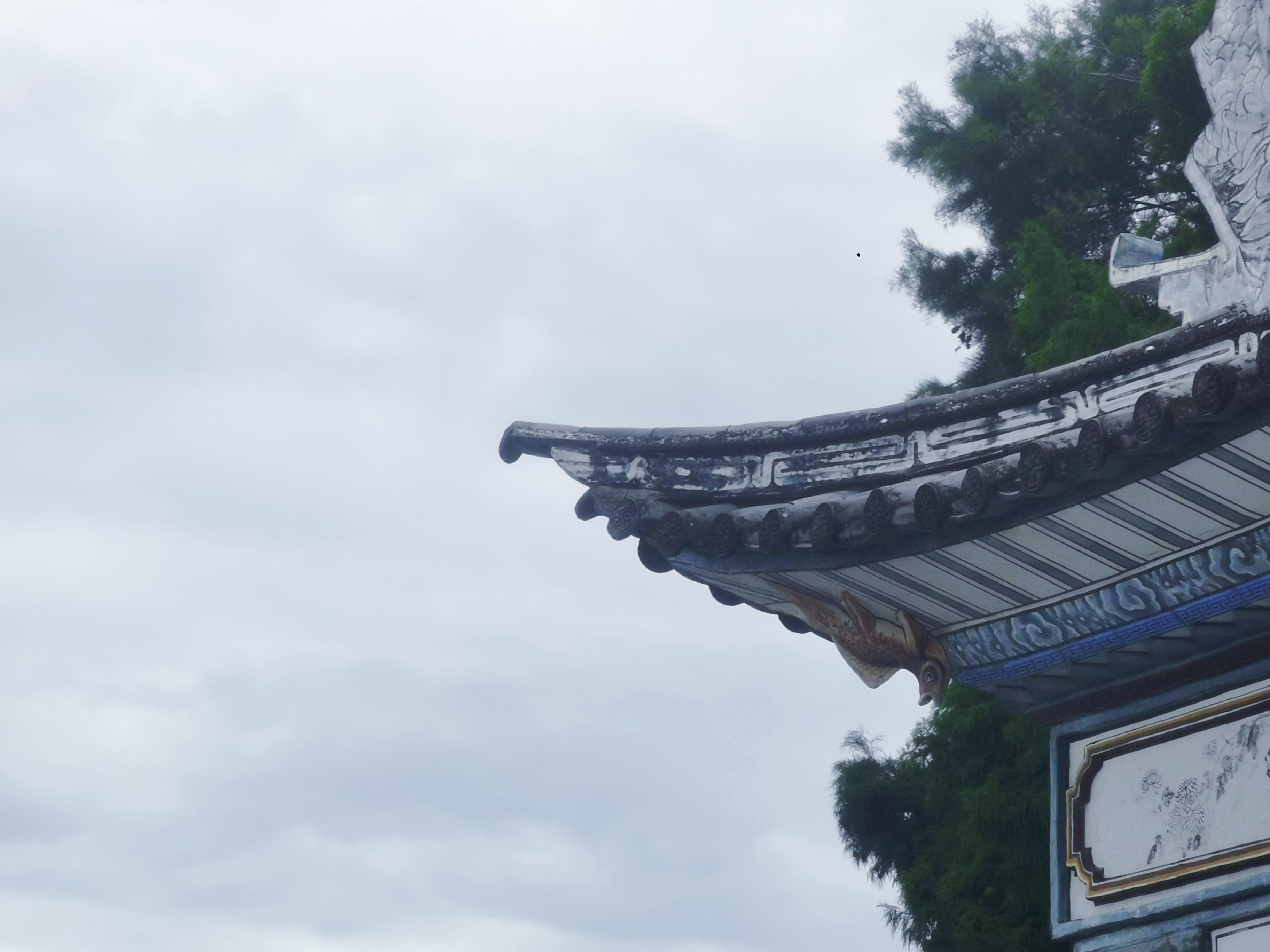 摄影