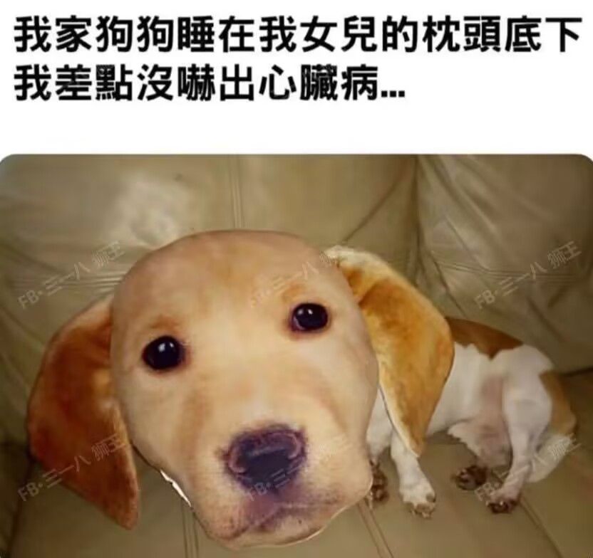 /static/4b2d0769685e0c4a9936a266ff2687f0b1ac9f349604a581f5a4604a2ec1c743.jpg
