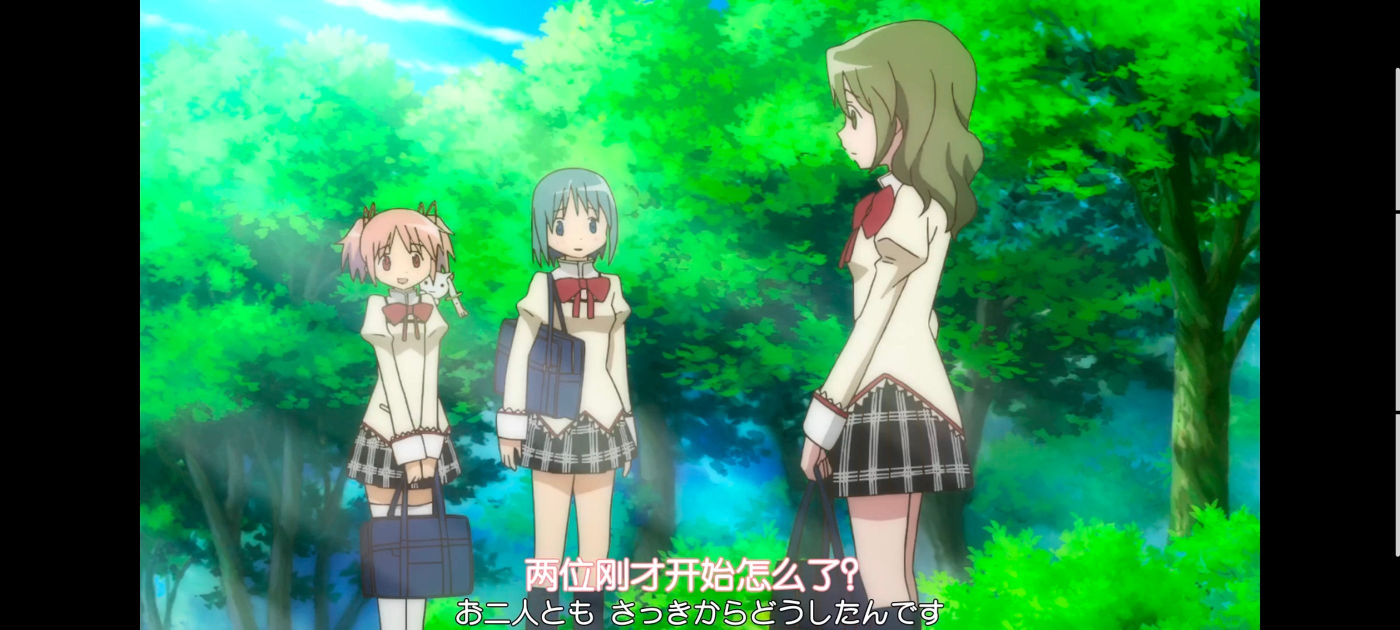 魔法少女小圆,魔法少女,动漫,动画,番剧,ACG