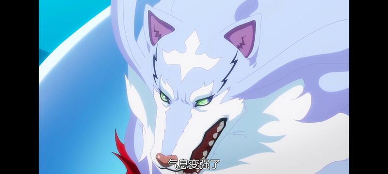 网购技能开启异世界美食之旅,拥有超常技能的异世界流浪美食家,动画,动漫,番剧,ACG