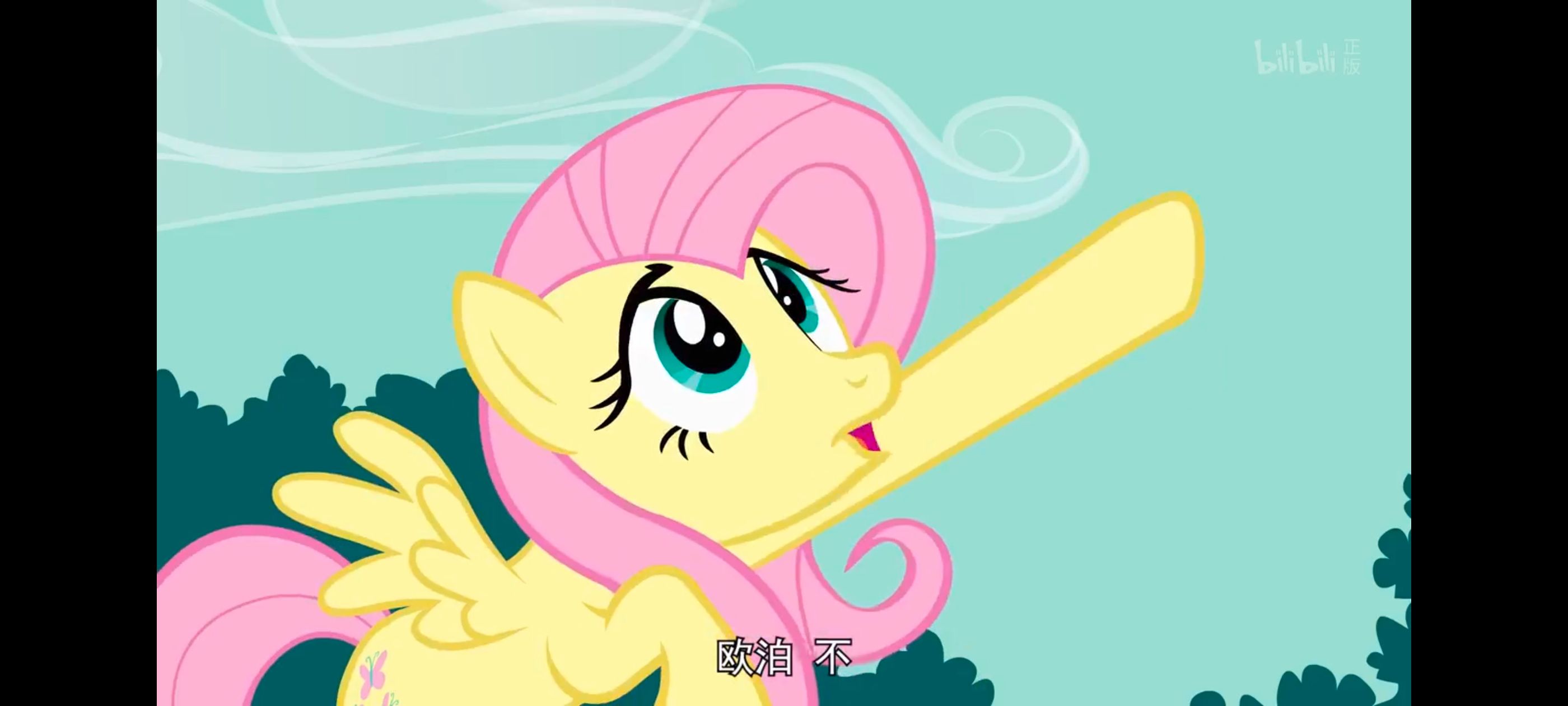 小马宝莉,小马宝莉友谊魔法,彩虹小马,我的小马驹,动画,动漫,番剧,ACG