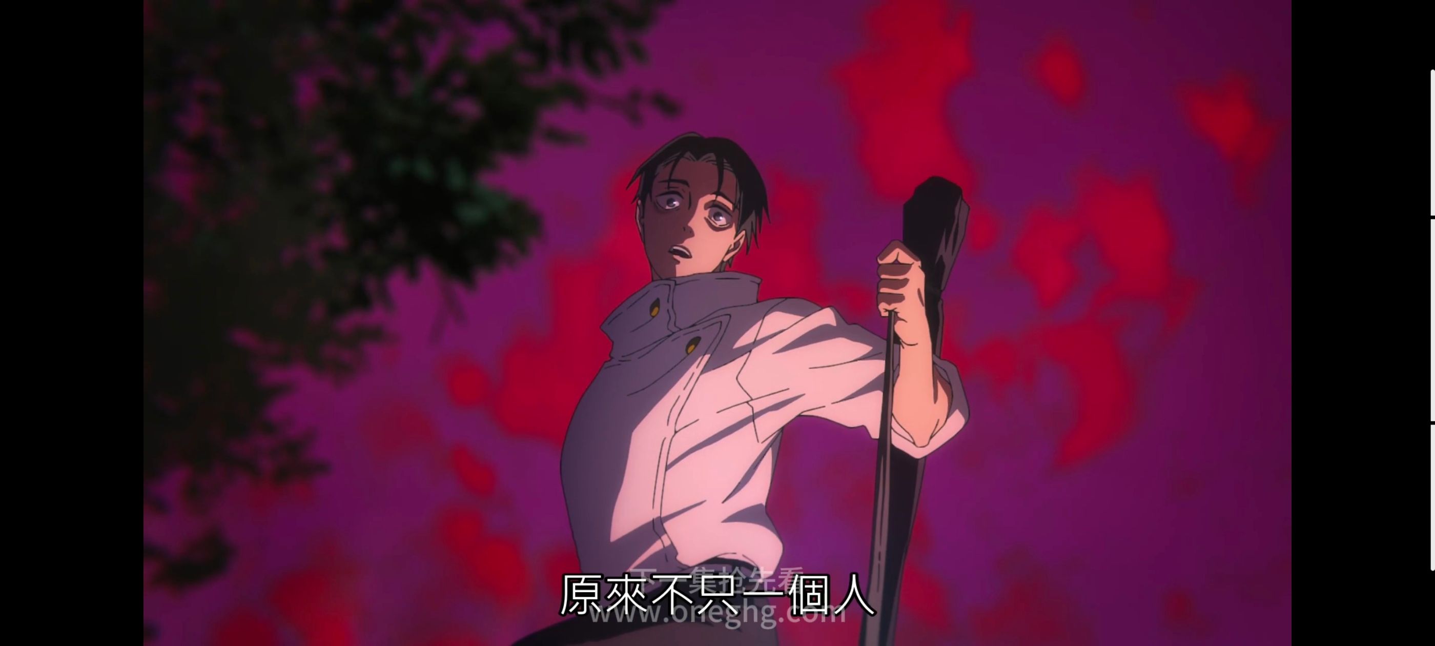 咒术回战,咒术回战死灭回游,动漫,动画,番剧,ACG